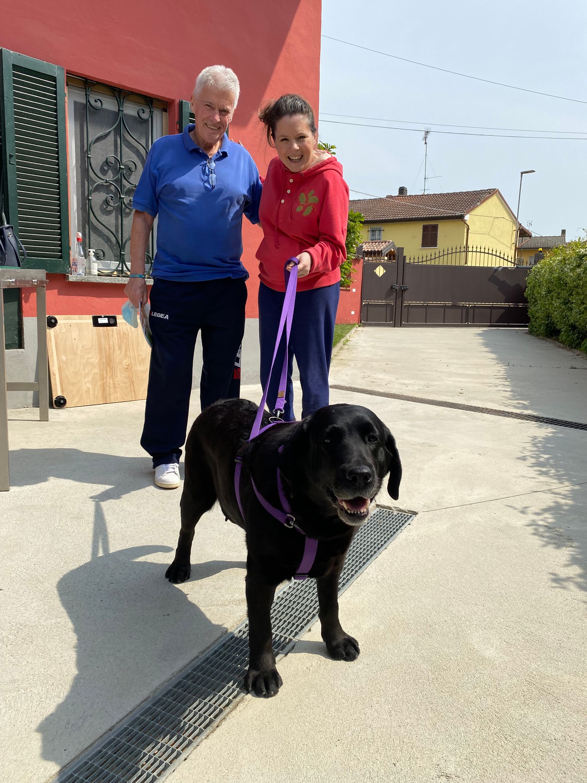 Allevamento Enci FCI Labrador in provincia di Pavia - I Labrador di Casa Paraporti - Consegna cuccioli