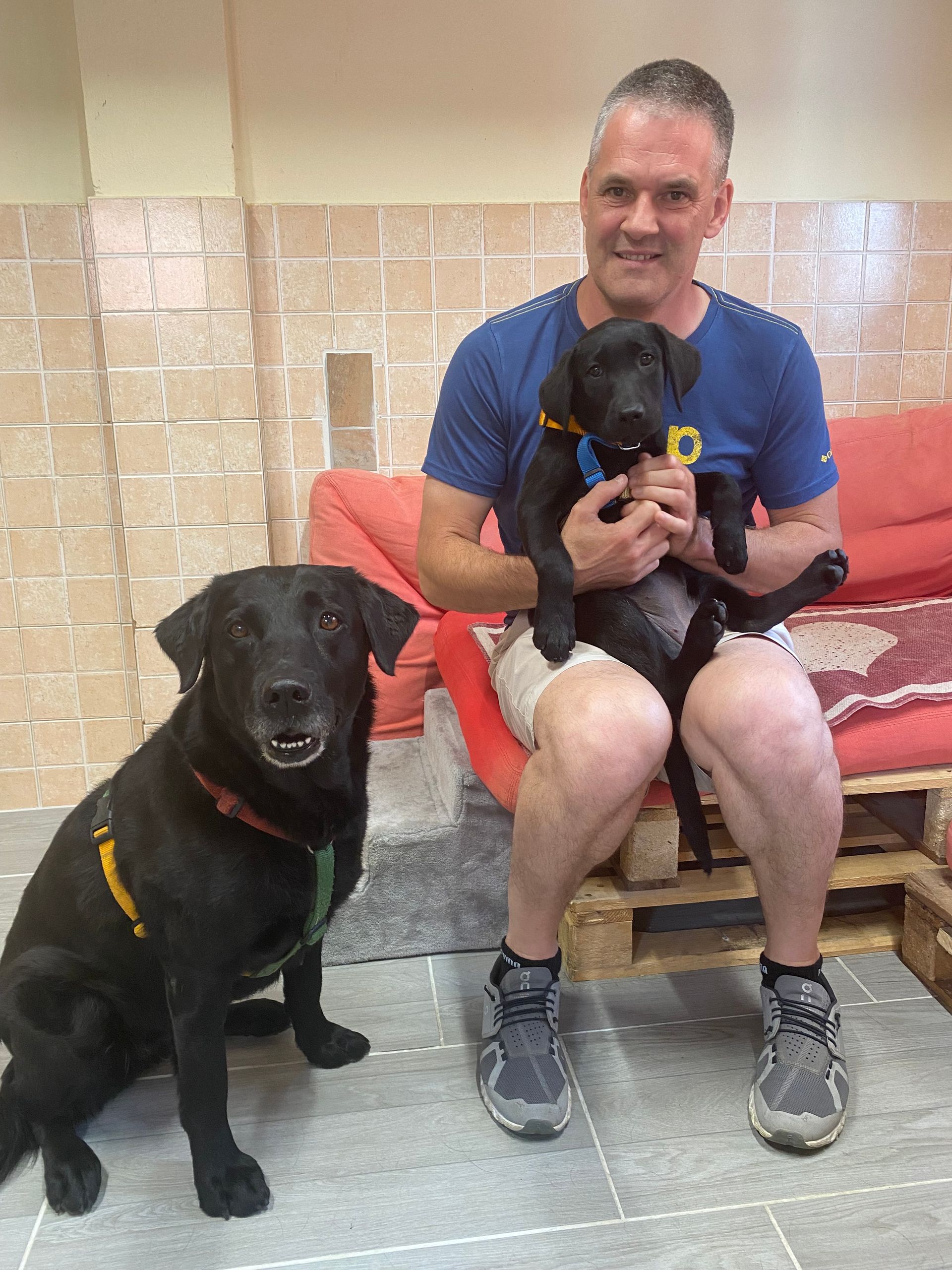 Allevamento Enci FCI Labrador in provincia di Pavia - I Labrador di Casa Paraporti - Consegna cuccioli