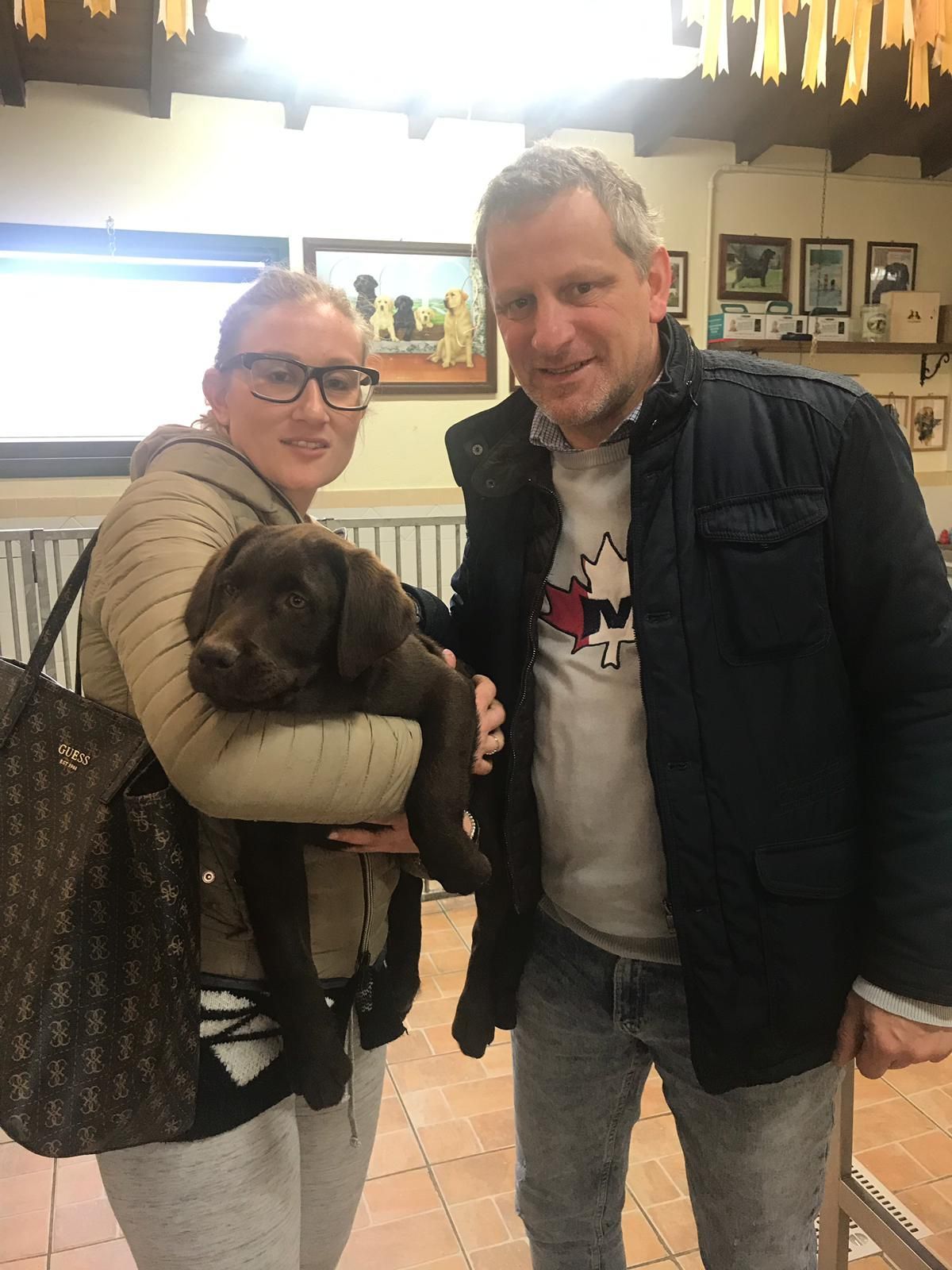 Allevamento Enci FCI Labrador in provincia di Pavia - I Labrador di Casa Paraporti - Consegna cuccioli