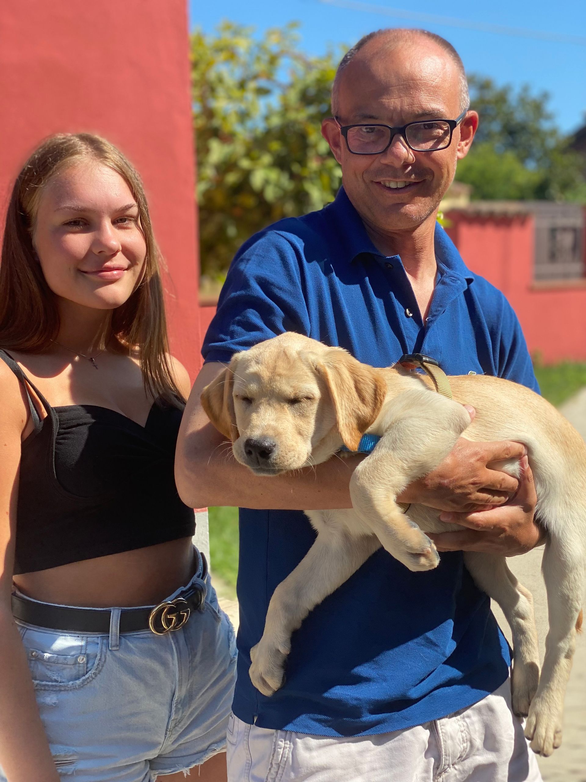 Allevamento Enci FCI Labrador in provincia di Pavia - I Labrador di Casa Paraporti - Consegna cuccioli