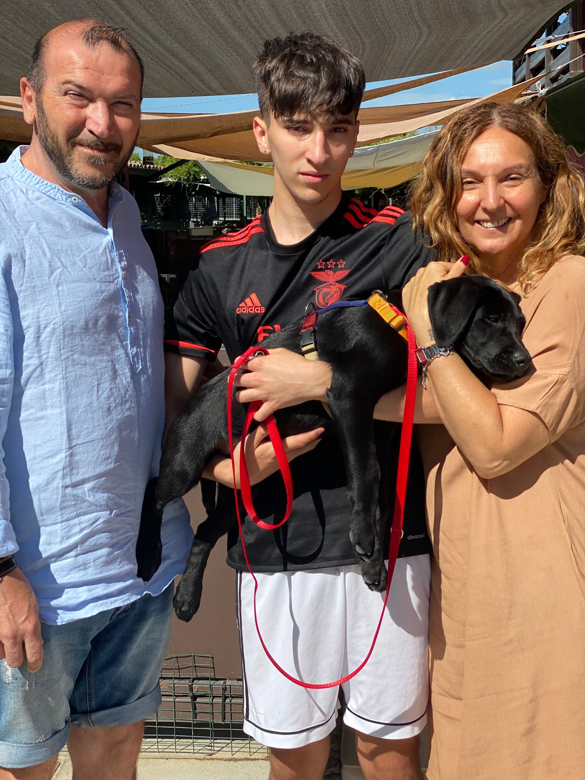 Allevamento Enci FCI Labrador in provincia di Pavia - I Labrador di Casa Paraporti - Consegna cuccioli