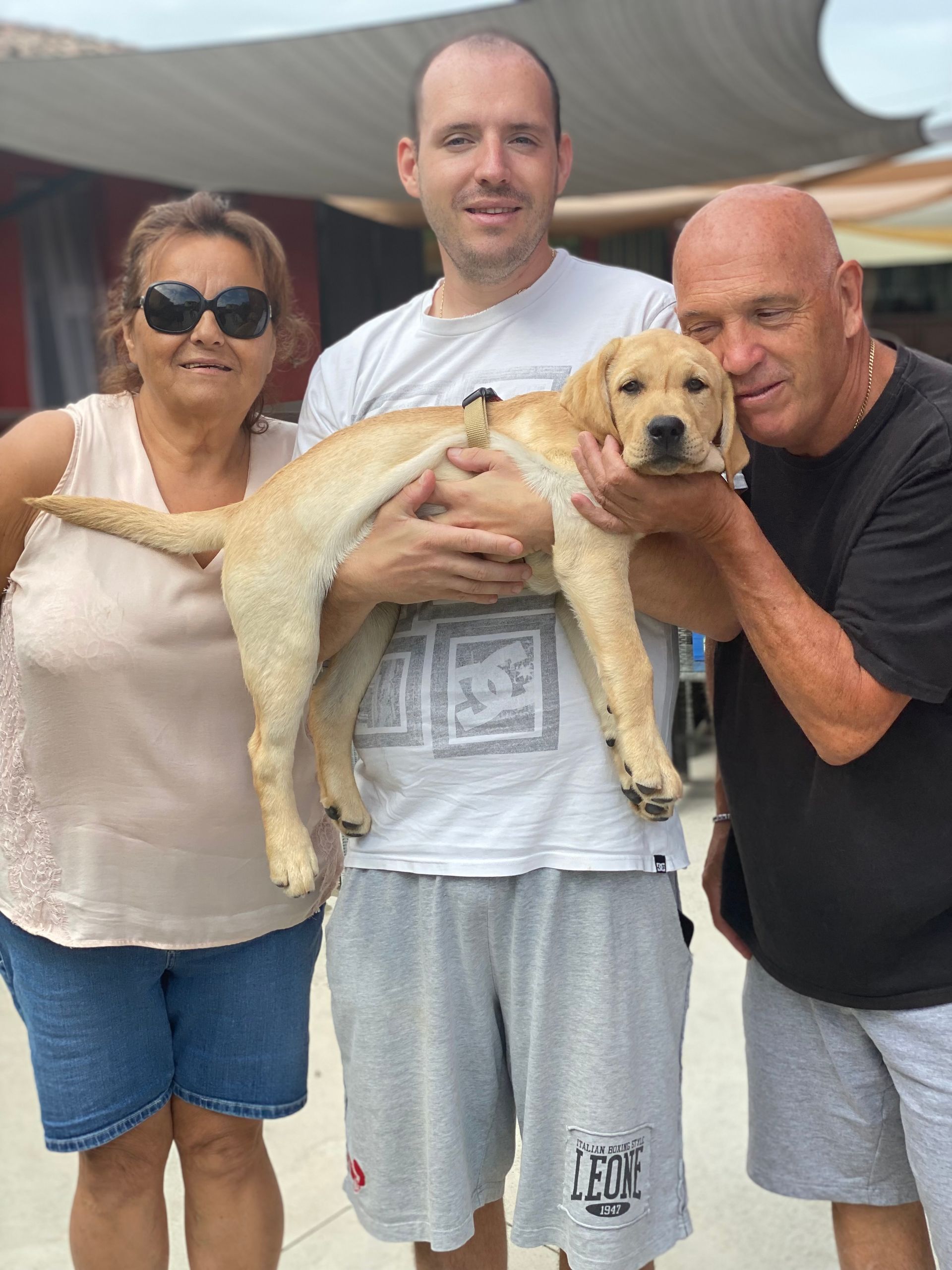 Allevamento Enci FCI Labrador in provincia di Pavia - I Labrador di Casa Paraporti - Consegna cuccioli