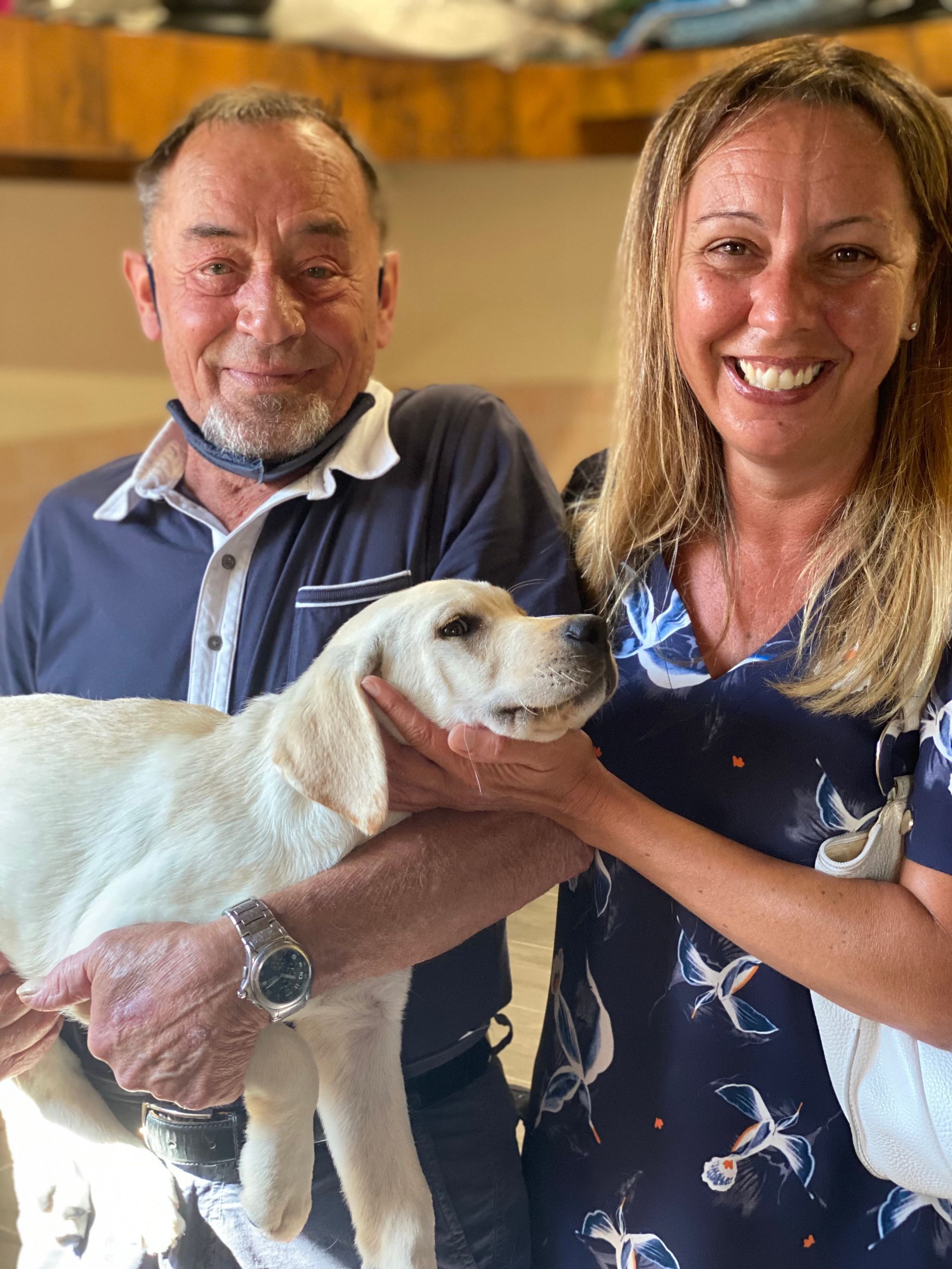 Allevamento Enci FCI Labrador in provincia di Pavia - I Labrador di Casa Paraporti - Consegna cuccioli