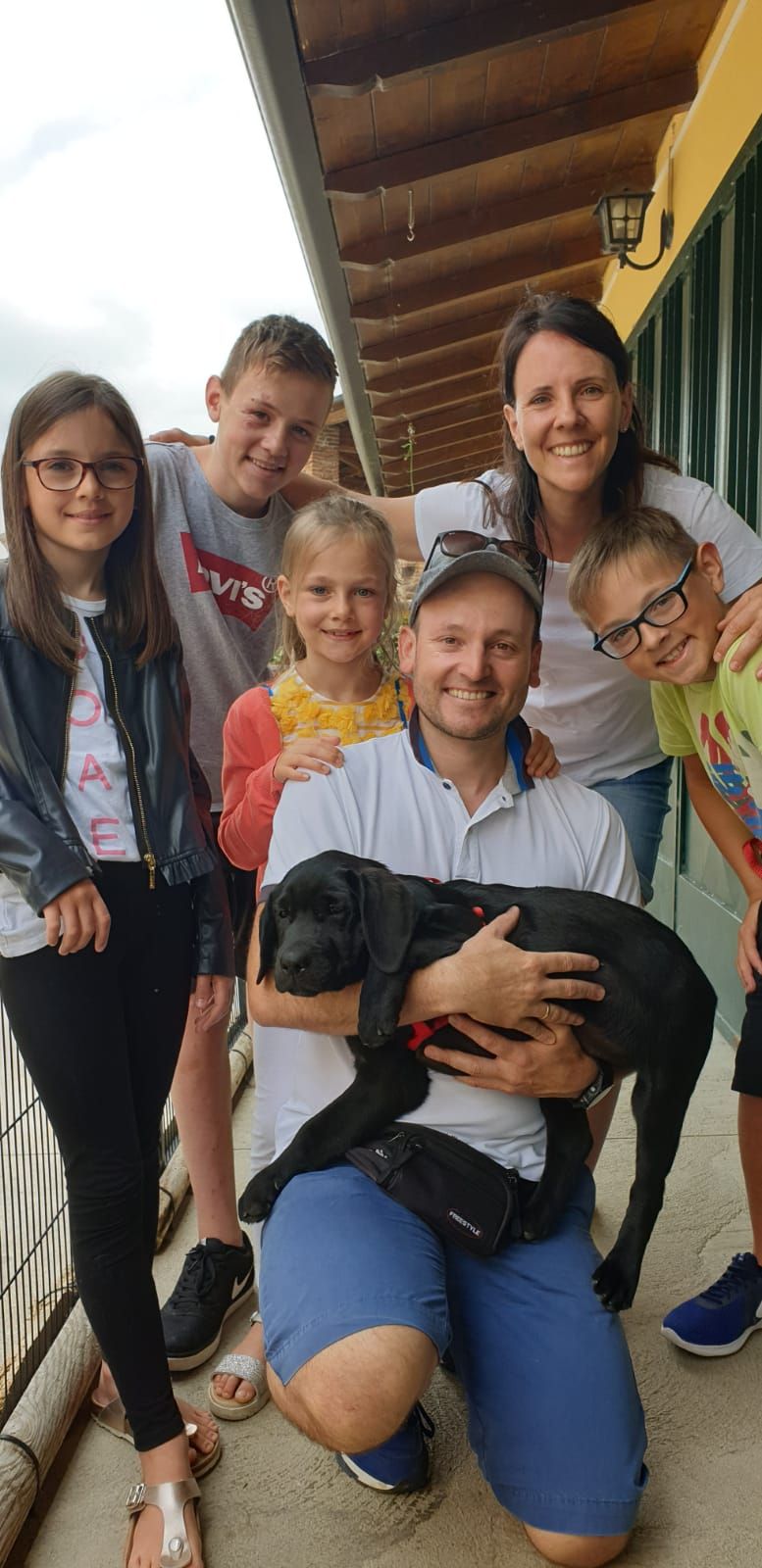 Allevamento Enci FCI Labrador in provincia di Pavia - I Labrador di Casa Paraporti - Consegna cuccioli