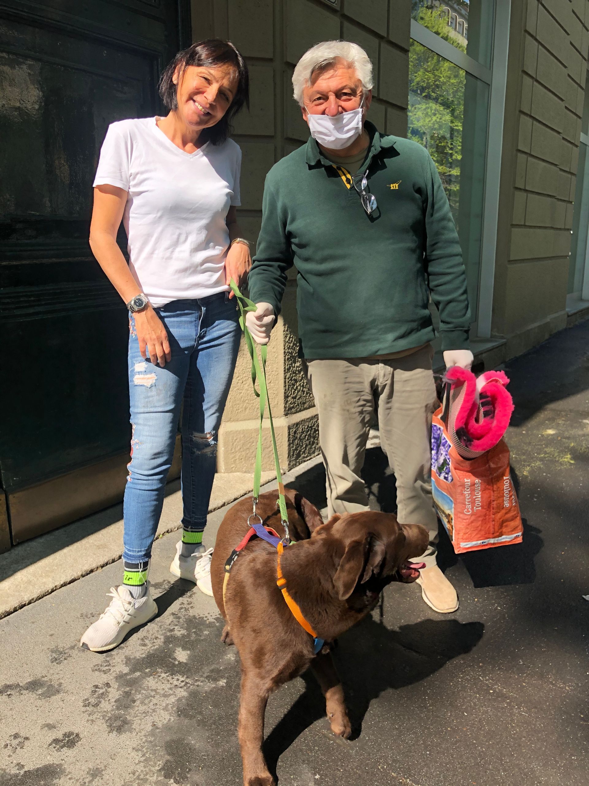 Allevamento Enci FCI Labrador in provincia di Pavia - I Labrador di Casa Paraporti - Consegna cuccioli