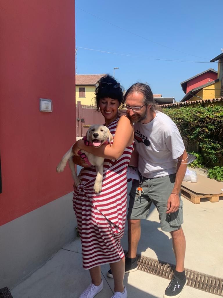 Allevamento Enci FCI Labrador in provincia di Pavia - I Labrador di Casa Paraporti - Consegna cuccioli