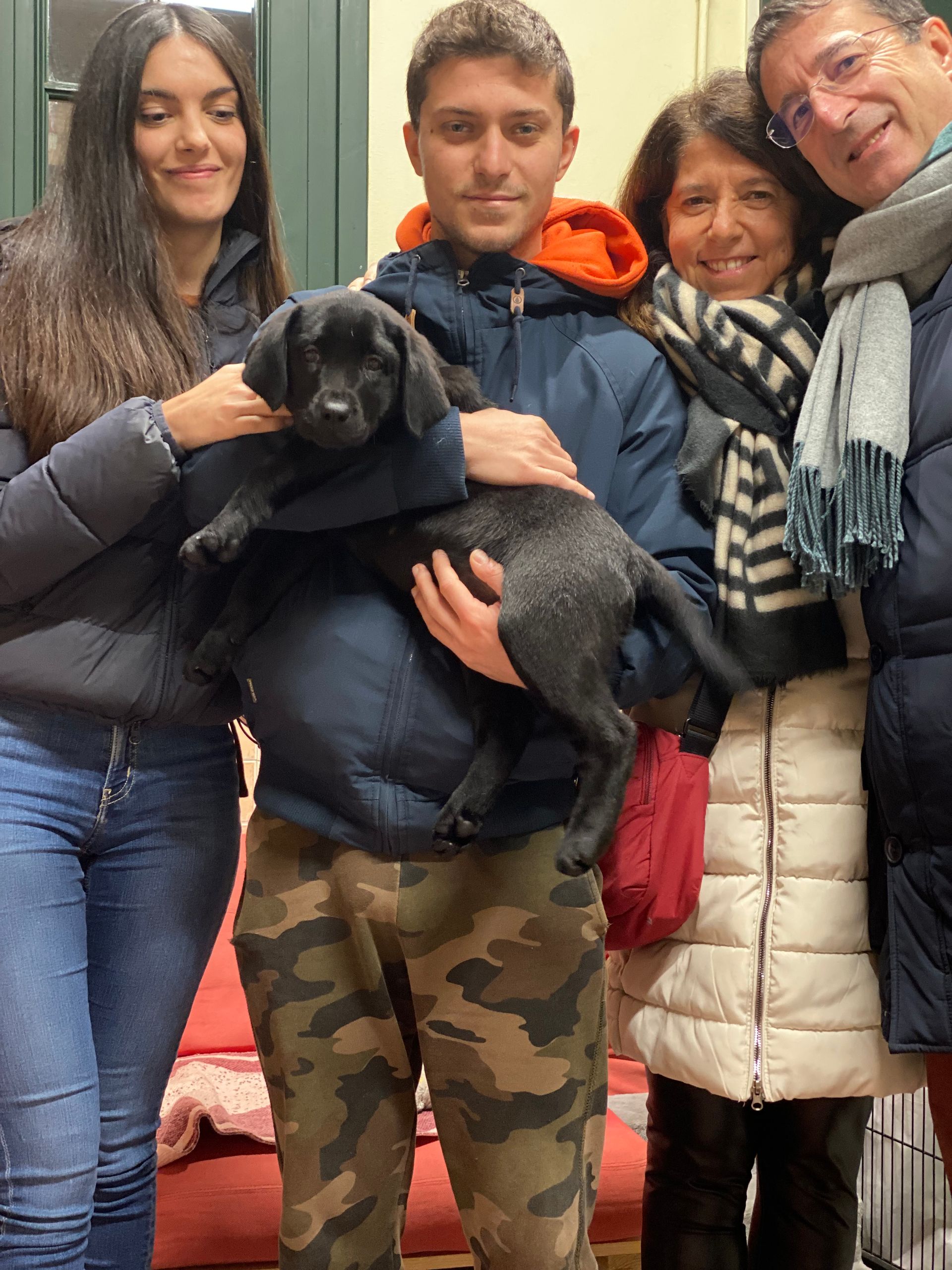 Allevamento Enci FCI Labrador in provincia di Pavia - I Labrador di Casa Paraporti - Consegna cuccioli