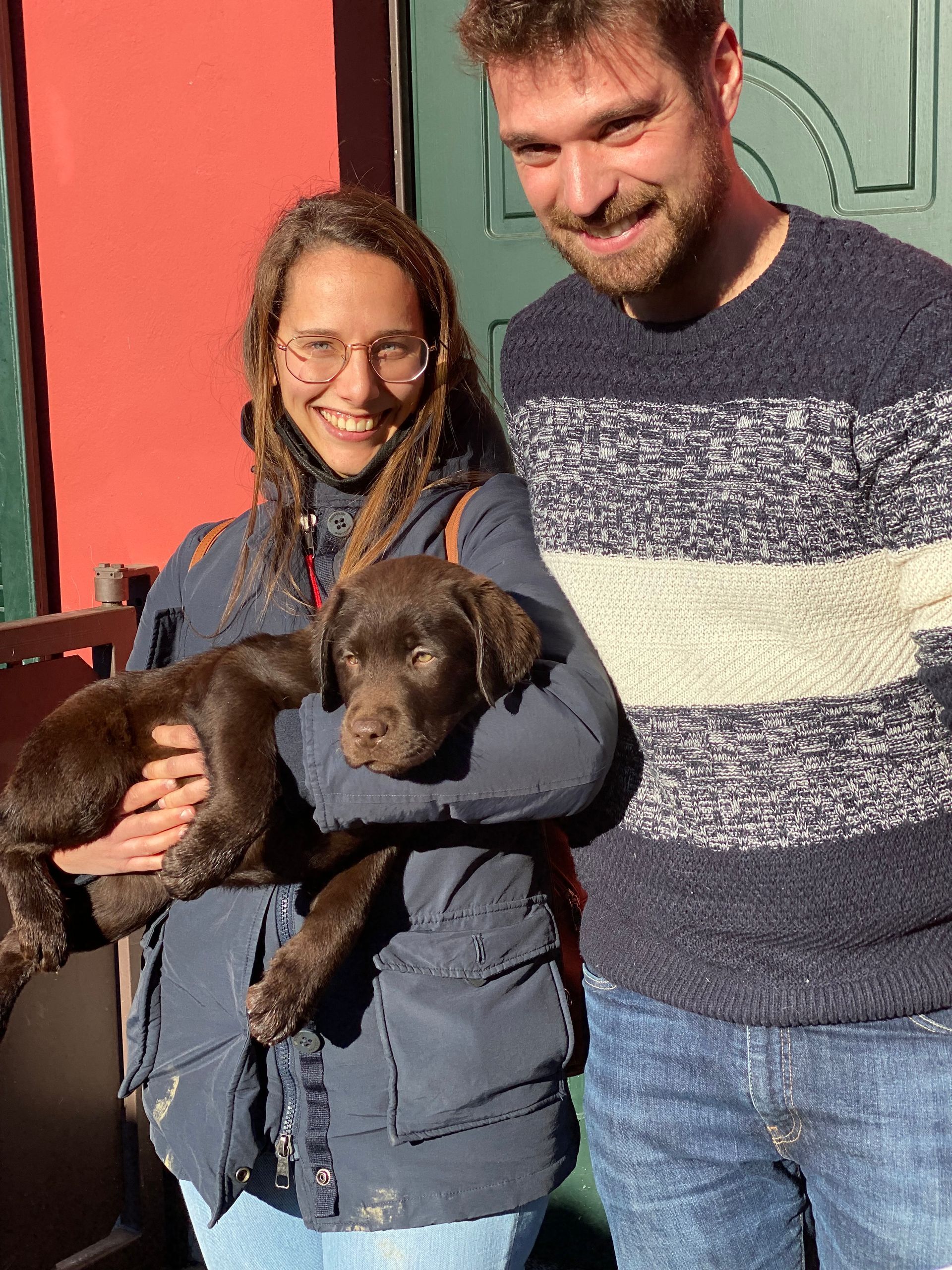 Allevamento Enci FCI Labrador in provincia di Pavia - I Labrador di Casa Paraporti - Consegna cuccioli