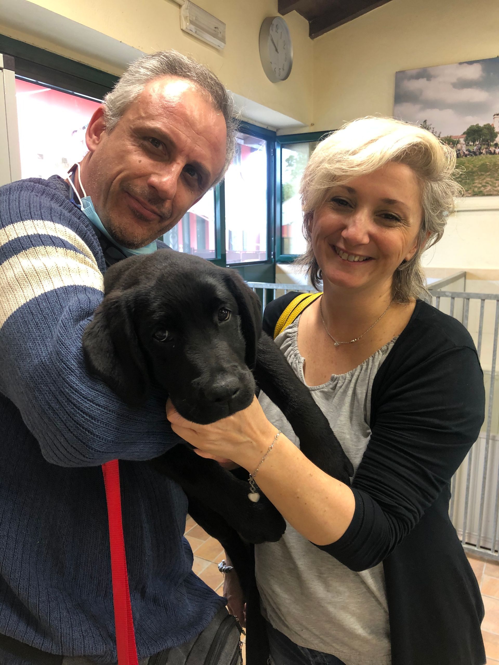 Allevamento Enci FCI Labrador in provincia di Pavia - I Labrador di Casa Paraporti - Consegna cuccioli