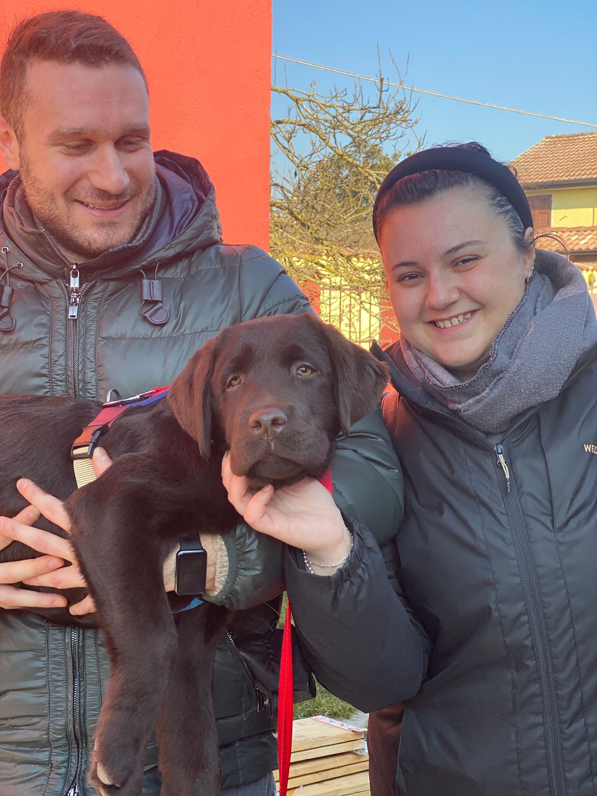 Allevamento Enci FCI Labrador in provincia di Pavia - I Labrador di Casa Paraporti - Consegna cuccioli