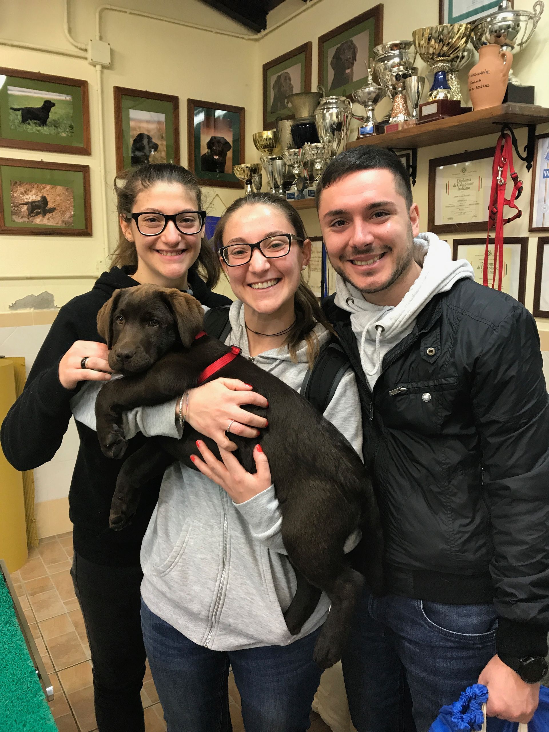 Allevamento Enci FCI Labrador in provincia di Pavia - I Labrador di Casa Paraporti - Consegna cuccioli