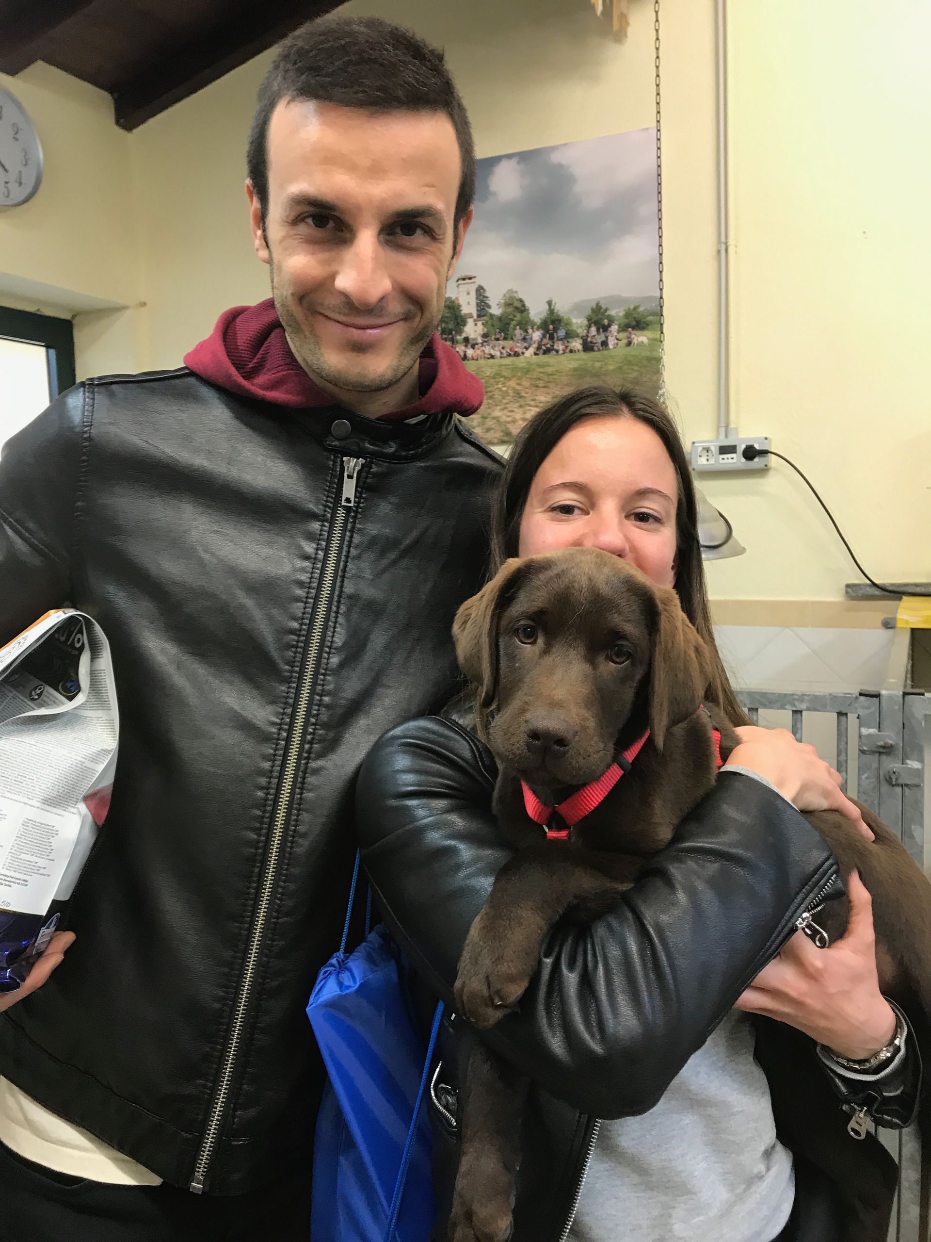 Allevamento Enci FCI Labrador in provincia di Pavia - I Labrador di Casa Paraporti - Consegna cuccioli