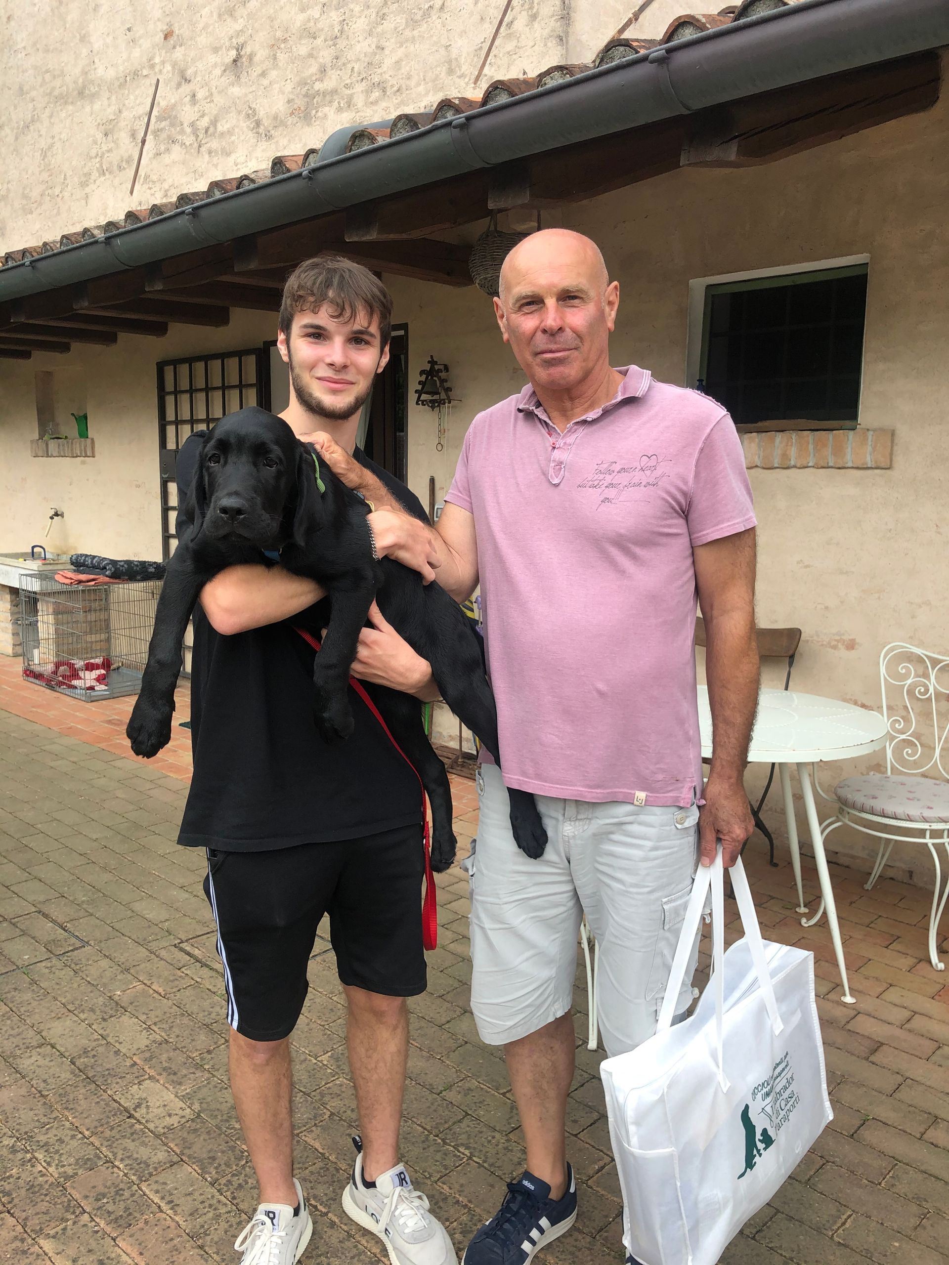 Allevamento Enci FCI Labrador in provincia di Pavia - I Labrador di Casa Paraporti - Consegna cuccioli