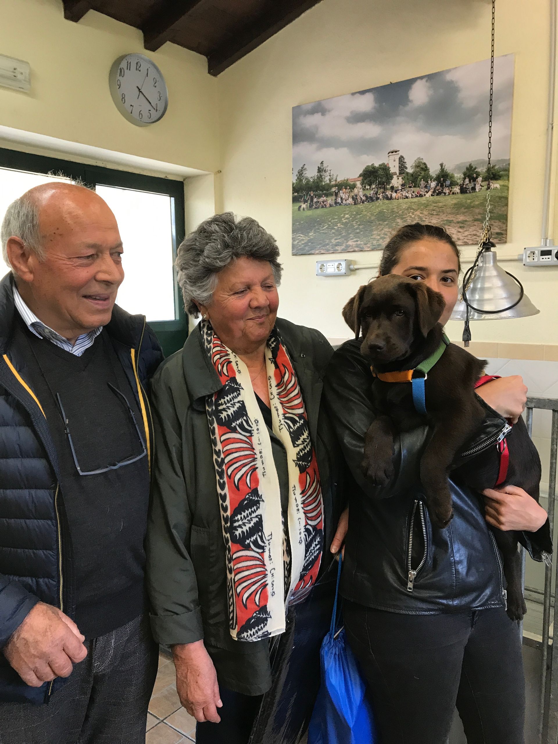 Allevamento Enci FCI Labrador in provincia di Pavia - I Labrador di Casa Paraporti - Consegna cuccioli