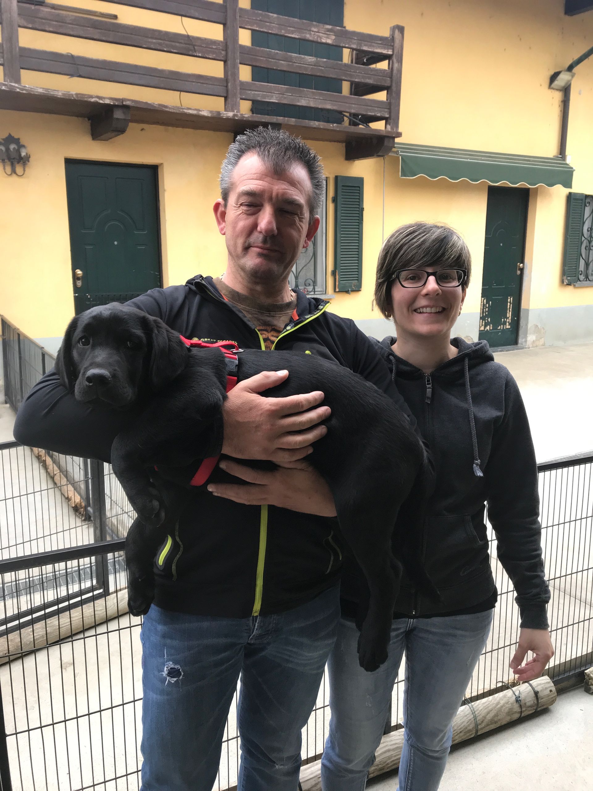 Allevamento Enci FCI Labrador in provincia di Pavia - I Labrador di Casa Paraporti - Consegna cuccioli