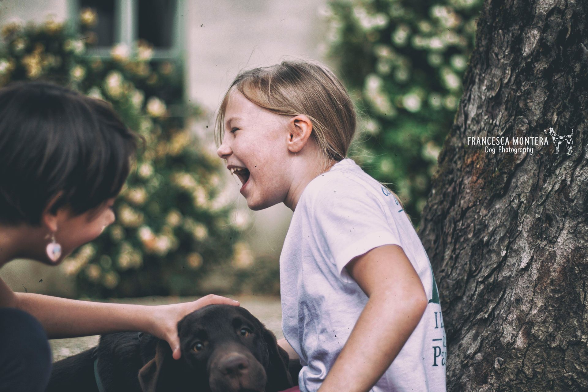 Galateo della Relazione Cuccioli di Labrador Ottobiano, - Pavia