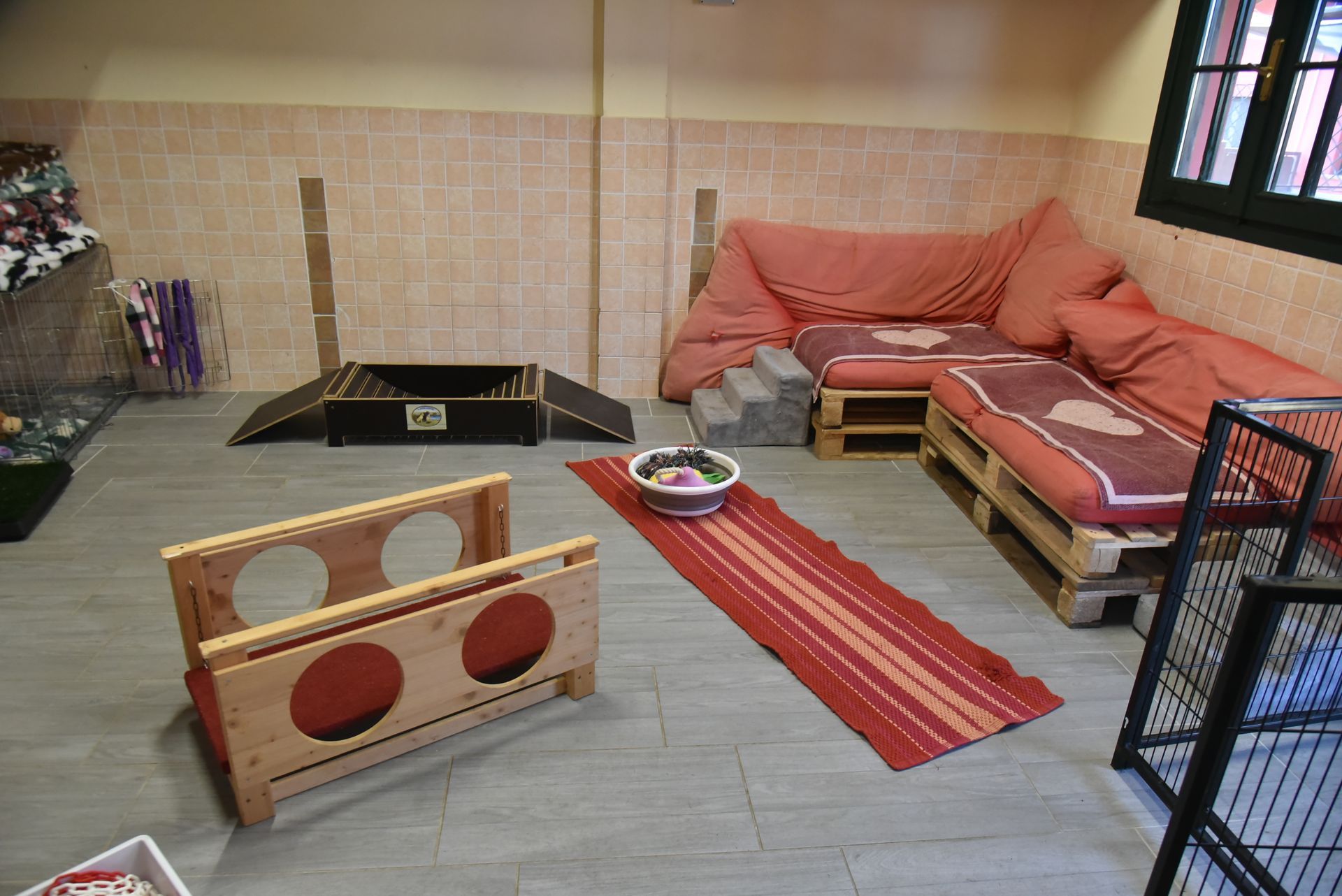 Puppy Academy per Cuccioli di Labrador Ottobiano, - Pavia