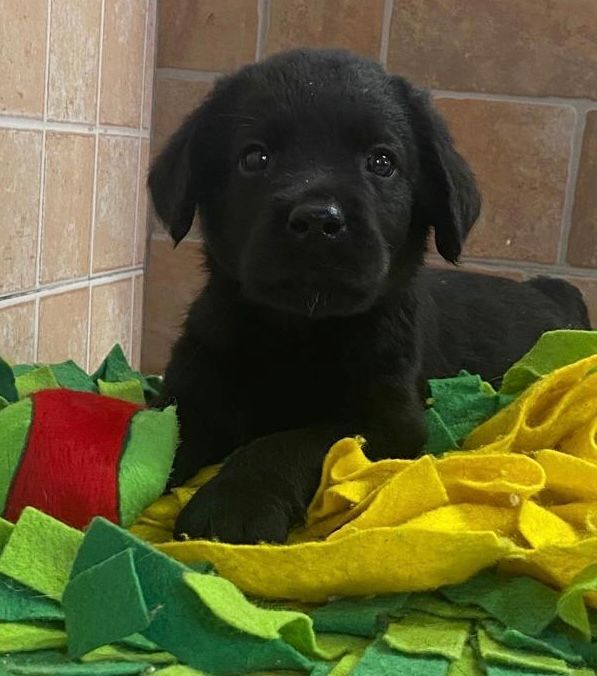 agriturismo con ampi spazi esterni