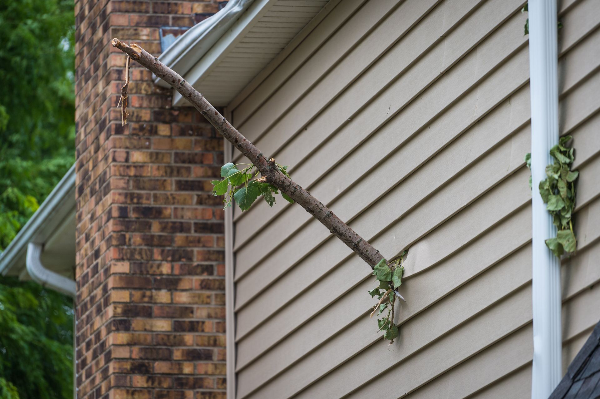 Windows & Doors — Vinton, IA — Corridor Building & Remodeling