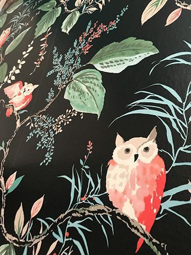 An owl is sitting on a tree branch with leaves on a black background.