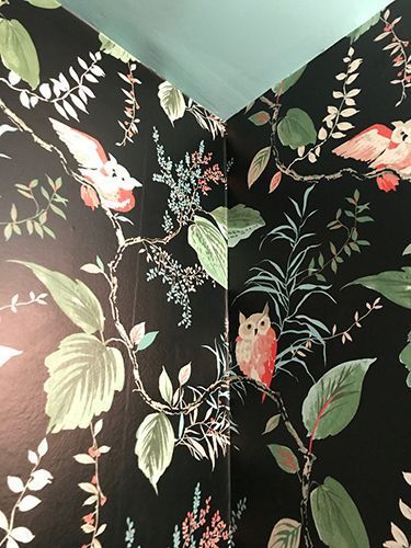 A corner of a room with a floral wallpaper and owls on it.