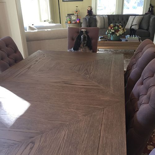 A dog is sitting on a chair in front of a wooden table in a living room.