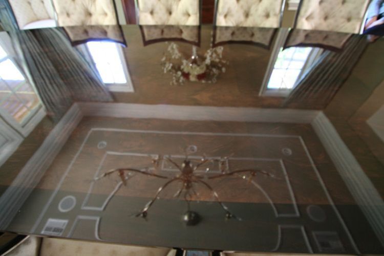 A room with a chandelier and a spider on the floor.