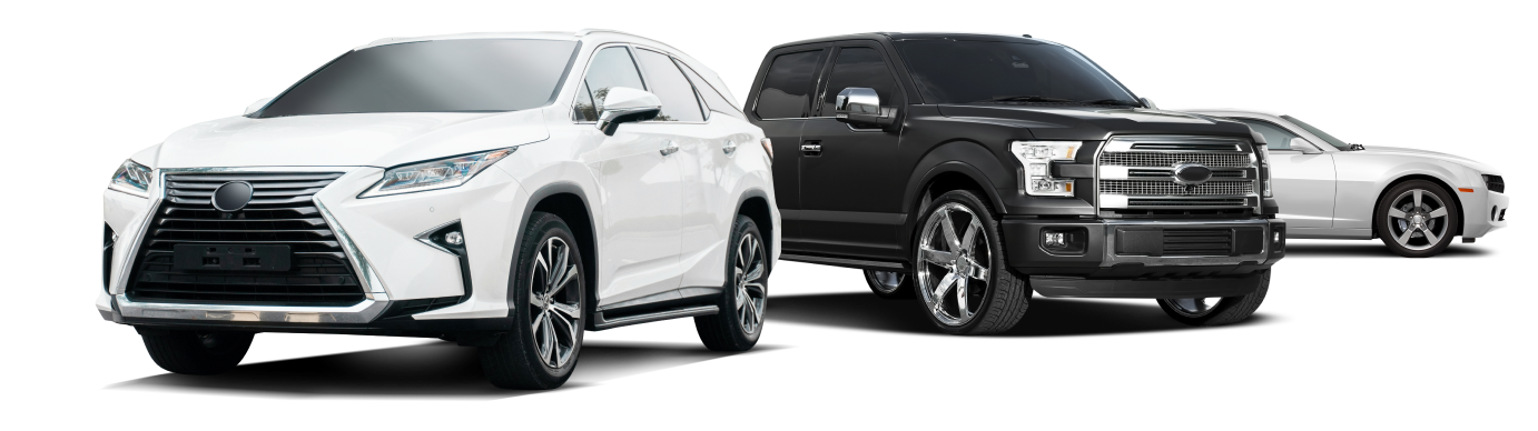 Three Lexus SUVs and sedan in white and black on a white background | Universal Auto Repair