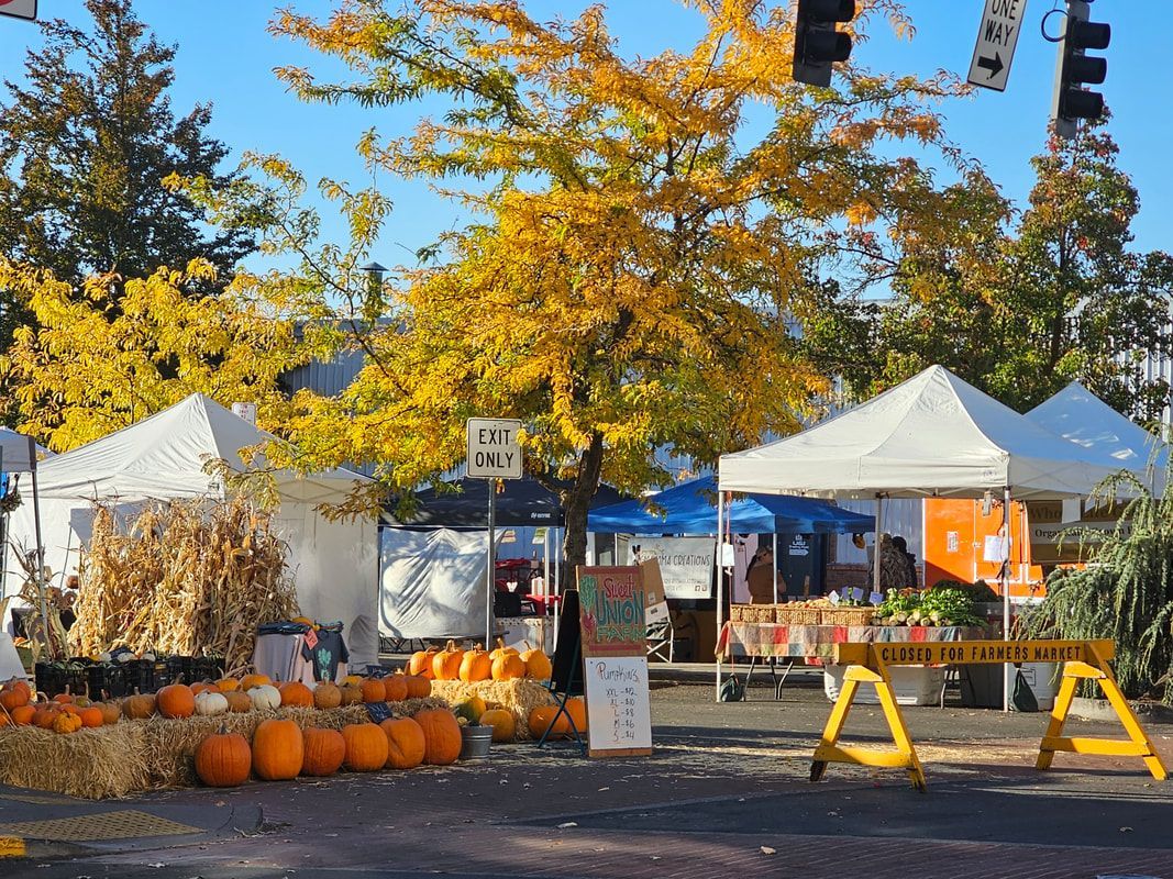 A bunch of pumpkins are sitting on the side of the road at a farmers market.