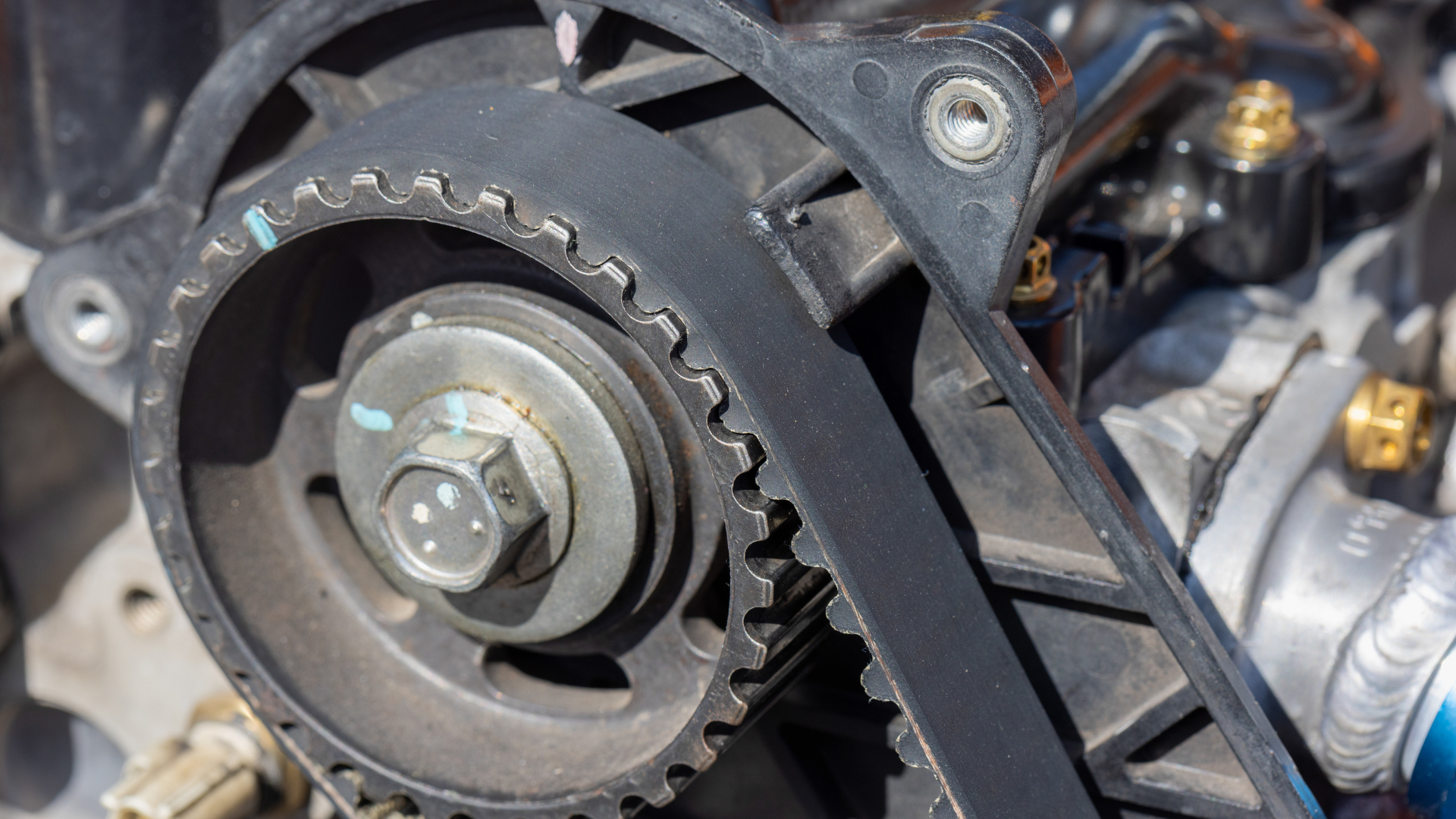 Close-up of a timing belt on an engine, showing the toothed belt wrapped around pulleys.