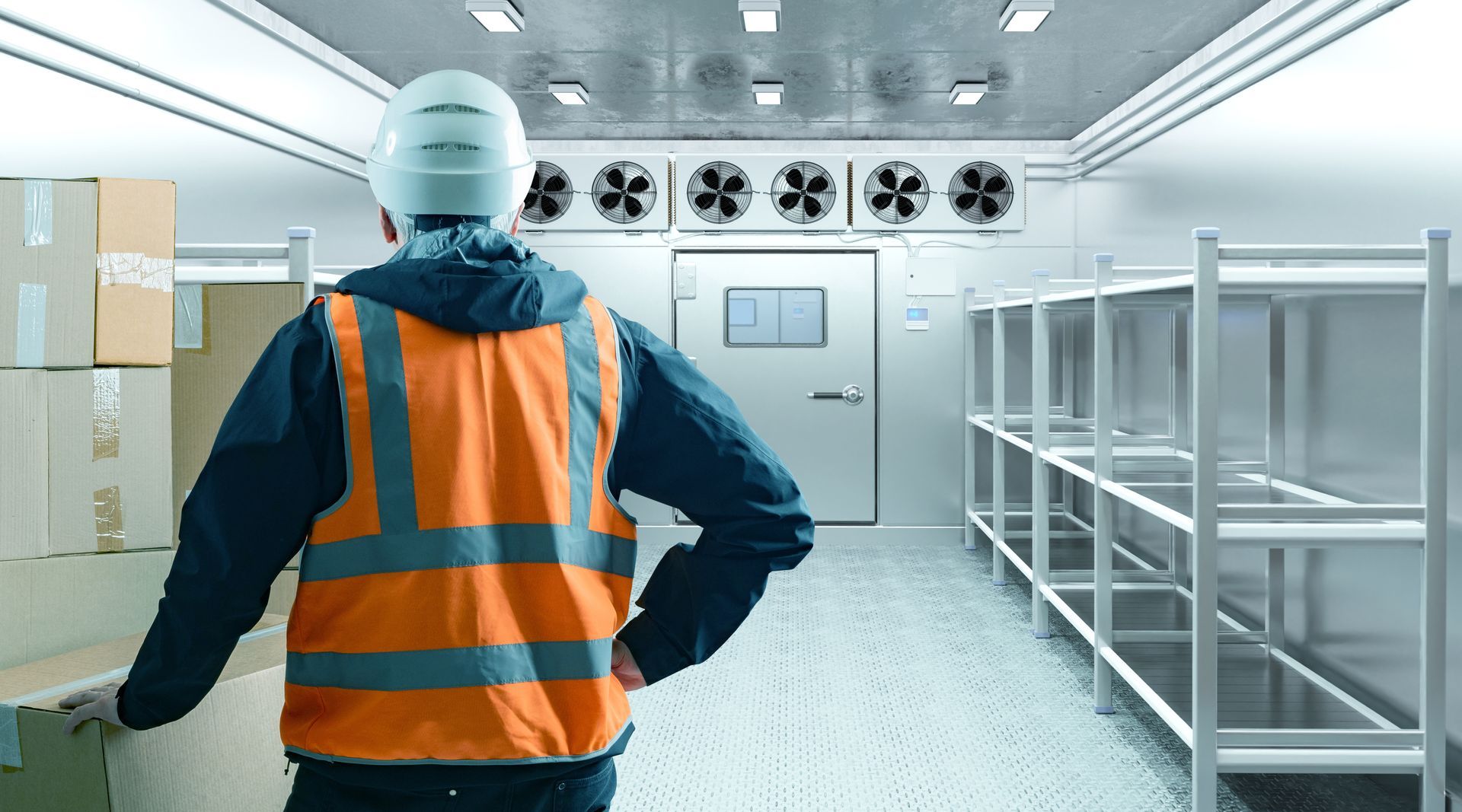 A person in a hard hat and high-visibility vest stands inside a cold storage room with stacked boxes and shelving units.