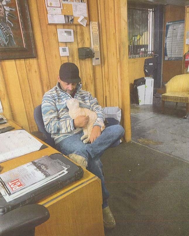 Person in a blue jacket and black cap sits holding a tan cat in a wood-paneled office.