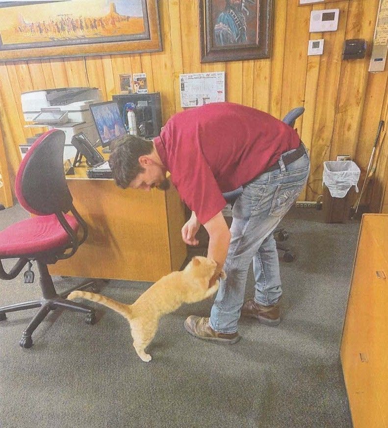 Person in a red shirt bends to pet a tan cat in an office with wood-paneled walls.