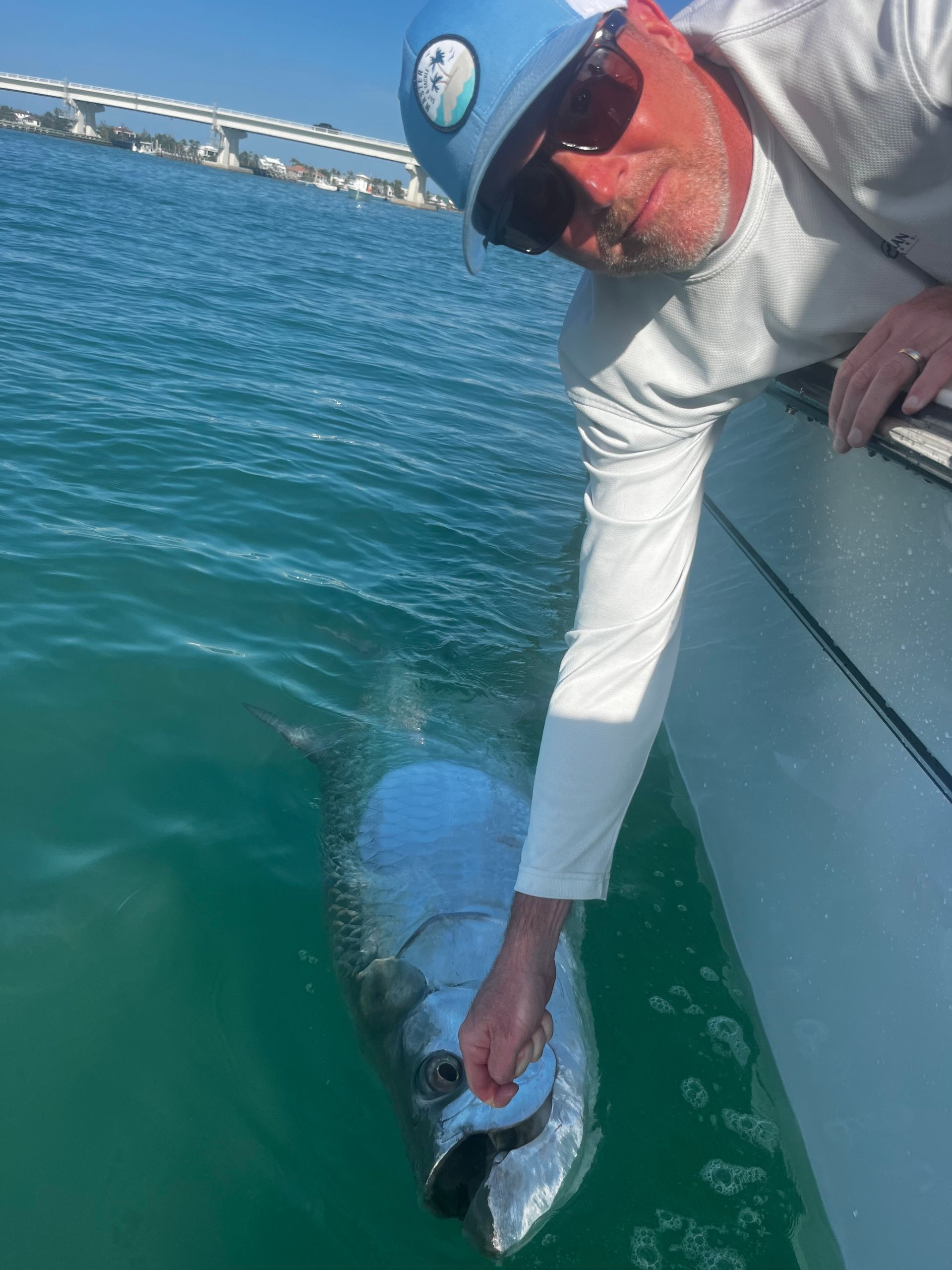 releasing a tarpon in SW FL
