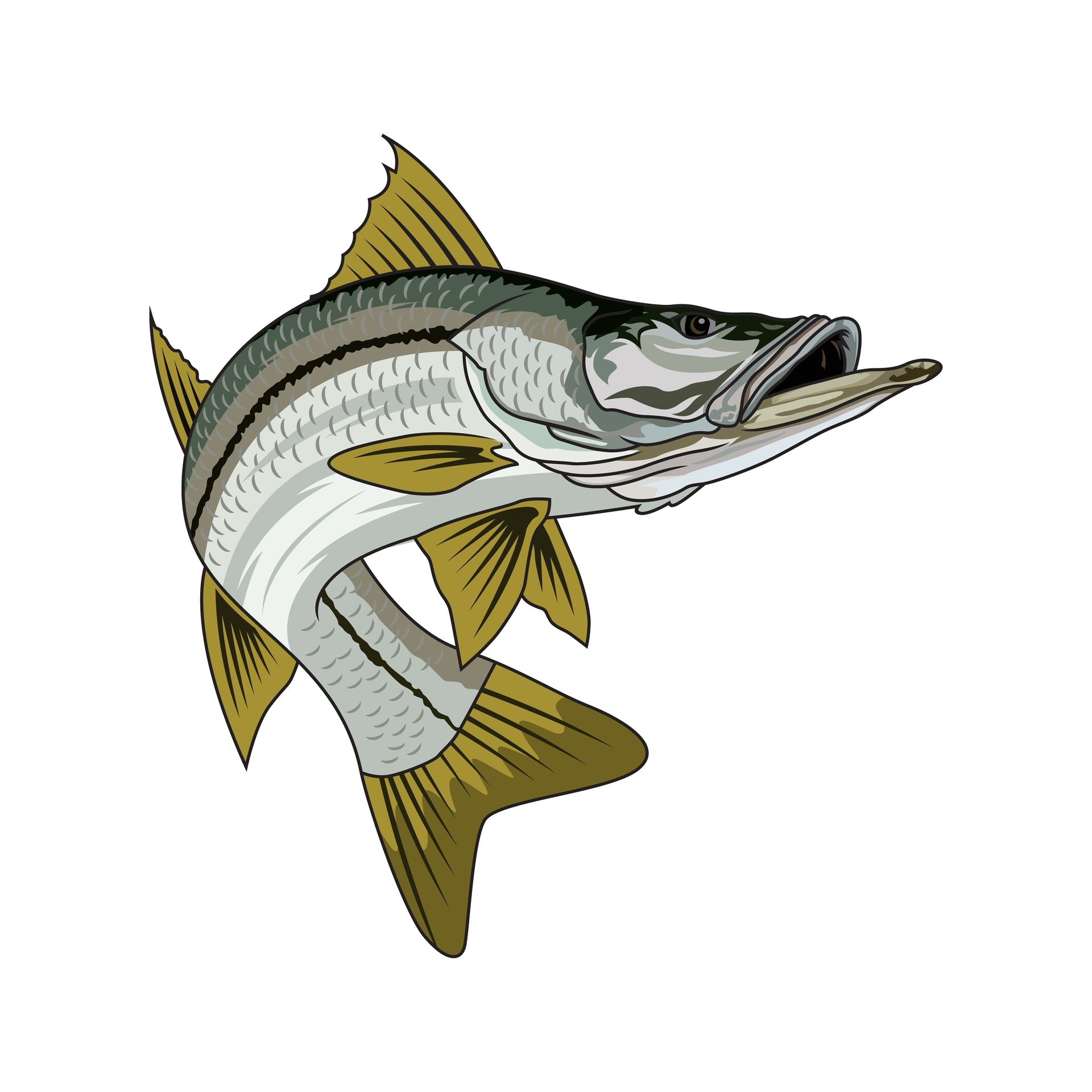 Inshore Fishing Charter Florida FL