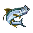 tarpon fishing charter cape coral fort myers