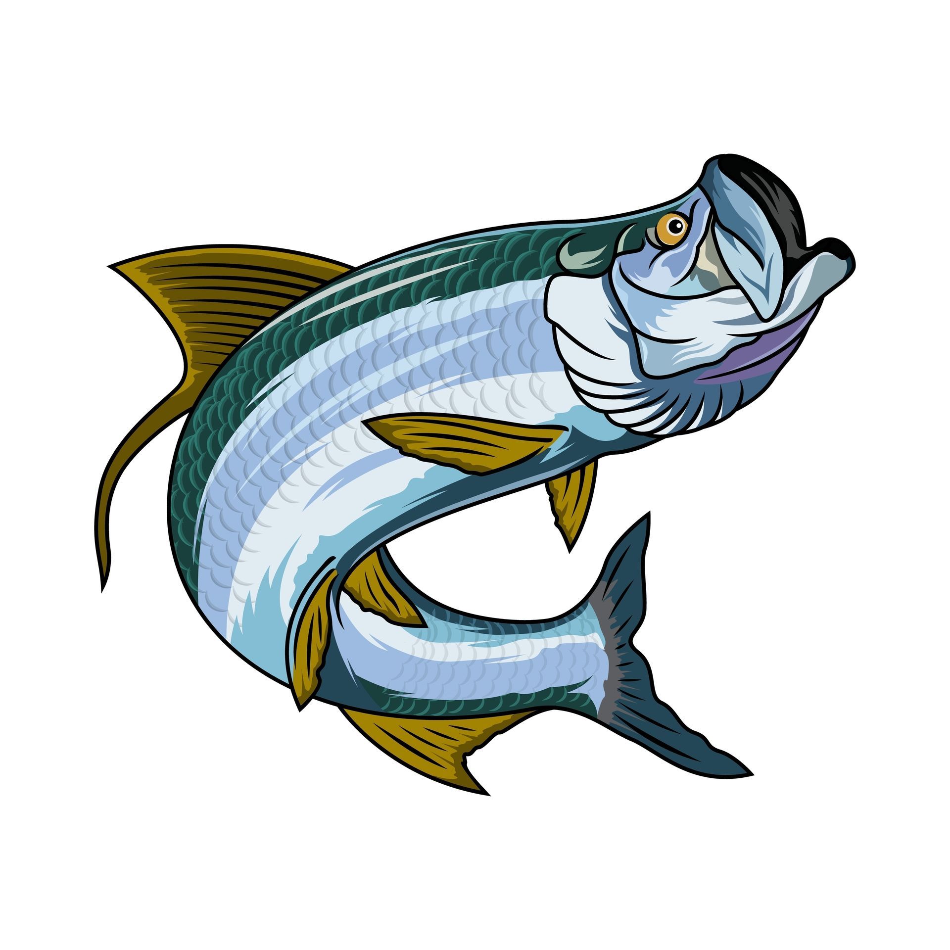 tarpon fishing charter cape coral fort myers