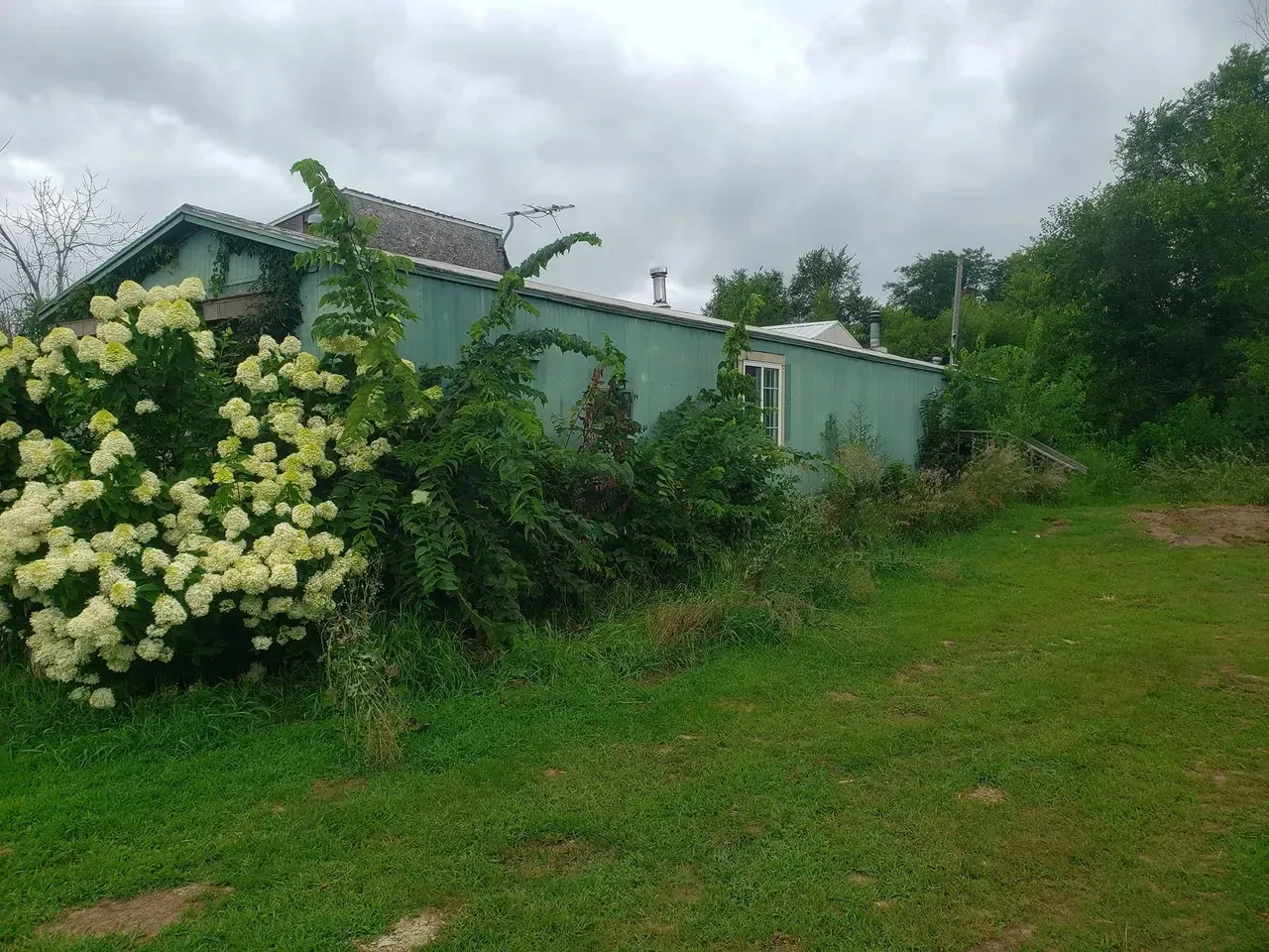 A green house with white flowers in front of it