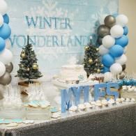winder wonderland party