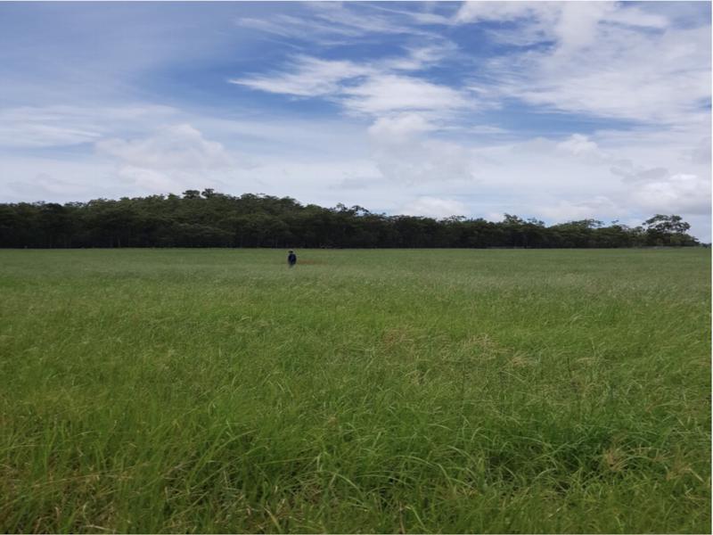Pastoral Grazing Improvement Works — Earthmoving & Excavation Services in Rockhampton, QLD