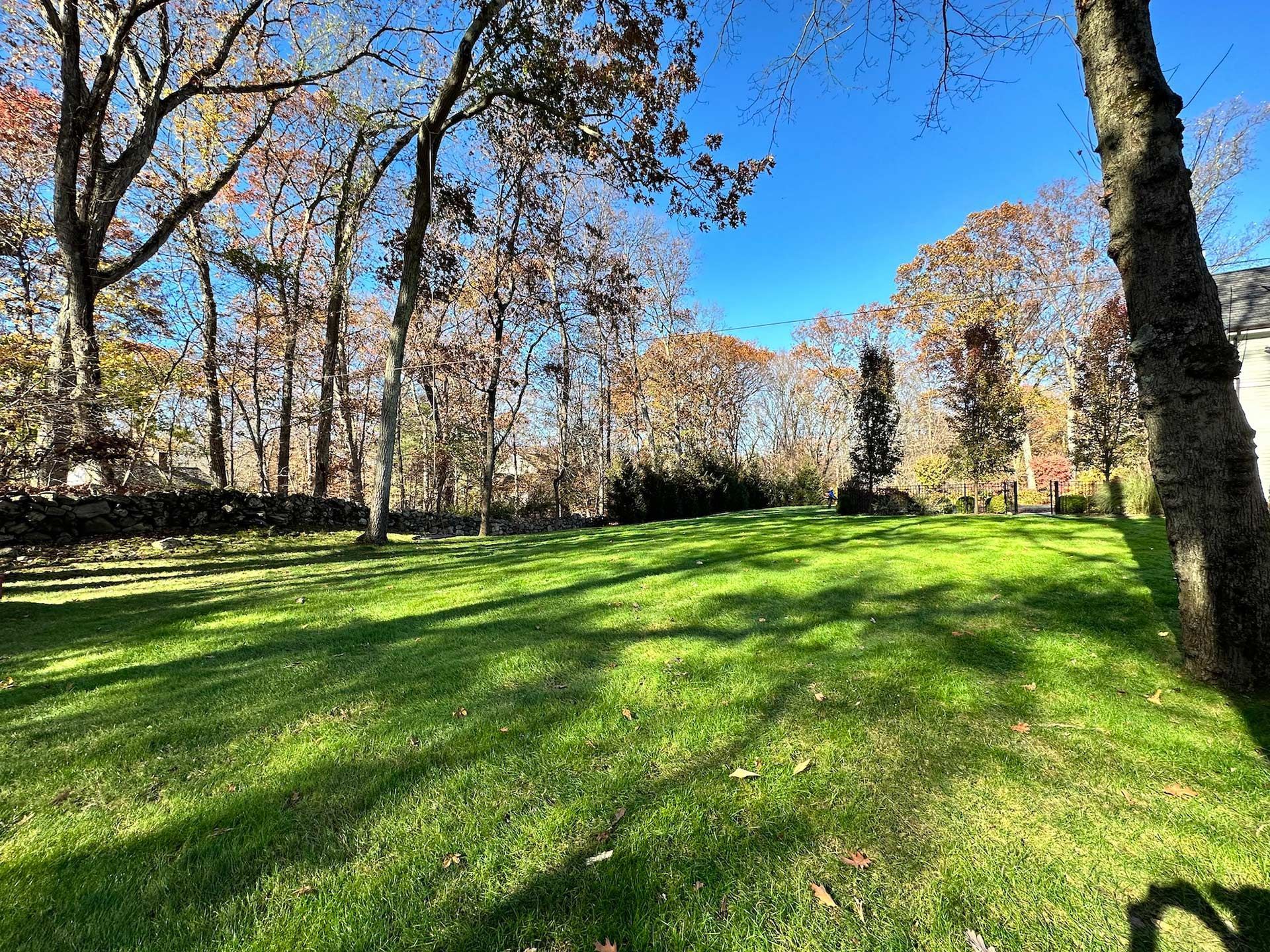 A large lush green field surrounded by trees on a sunny day