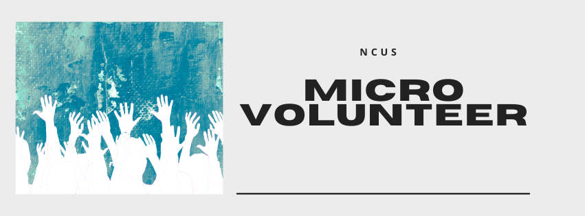 Volunteer Opportunities