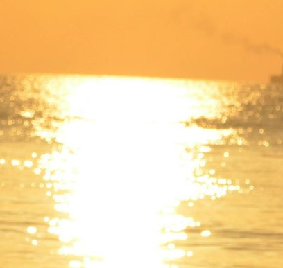 SPOT-ON DESIGN | GENE KEYS - Je Gouden Pad