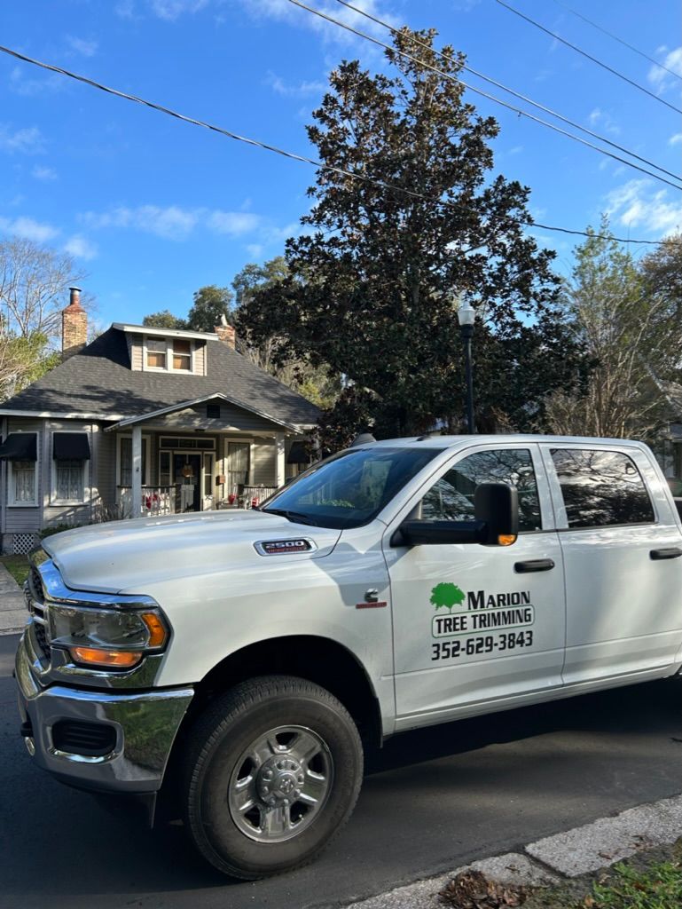 tree services 3