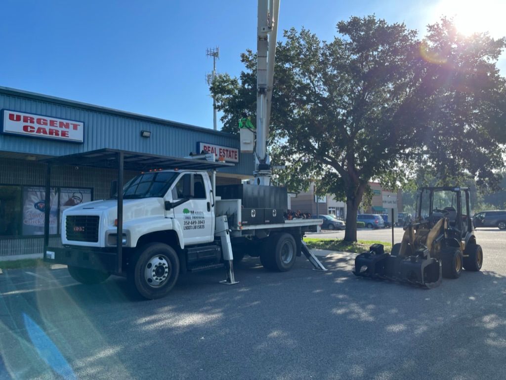 tree services 4