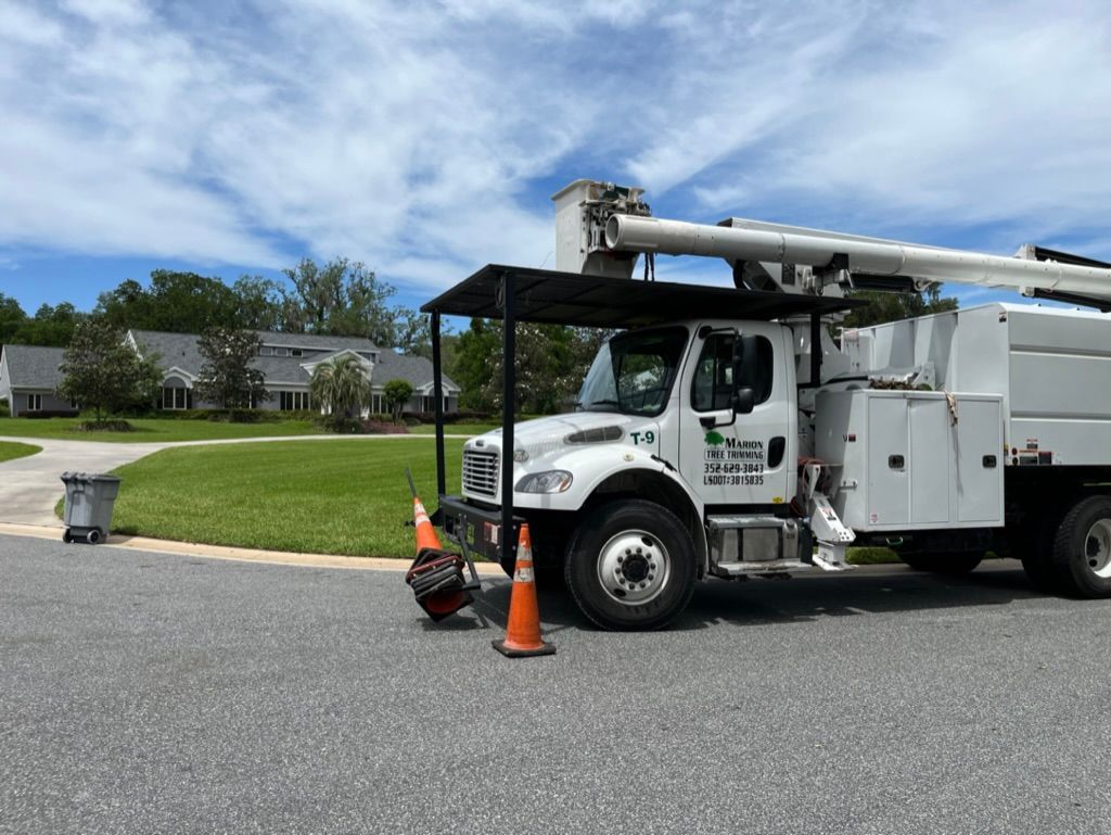 tree services 2