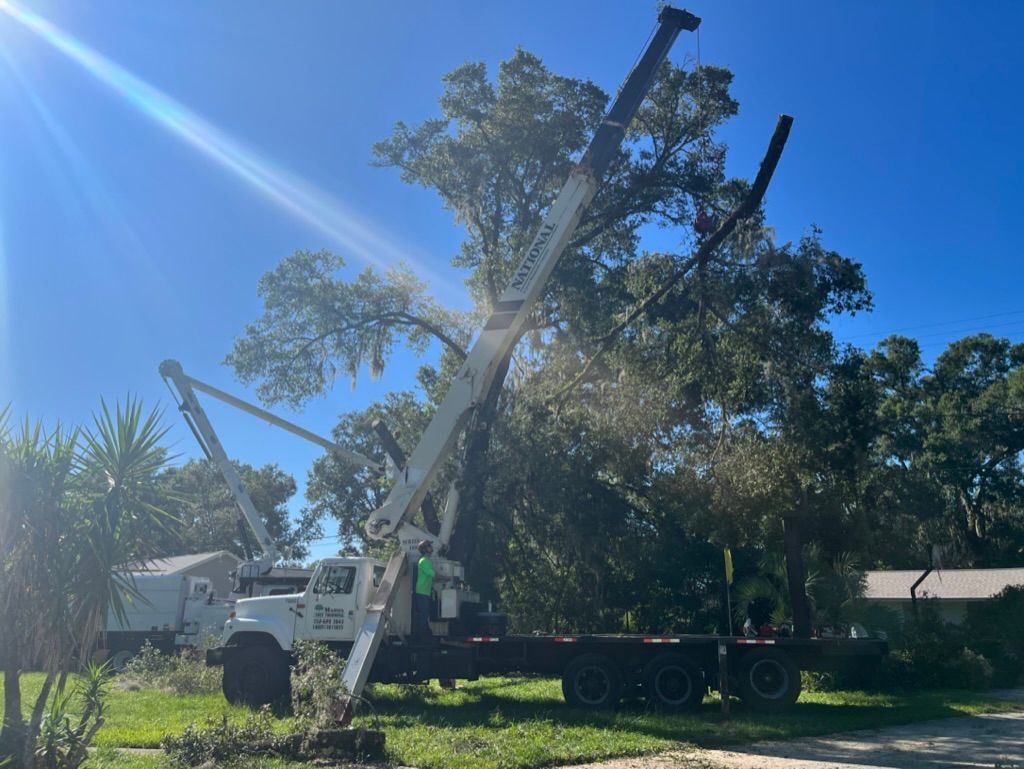 tree services 1