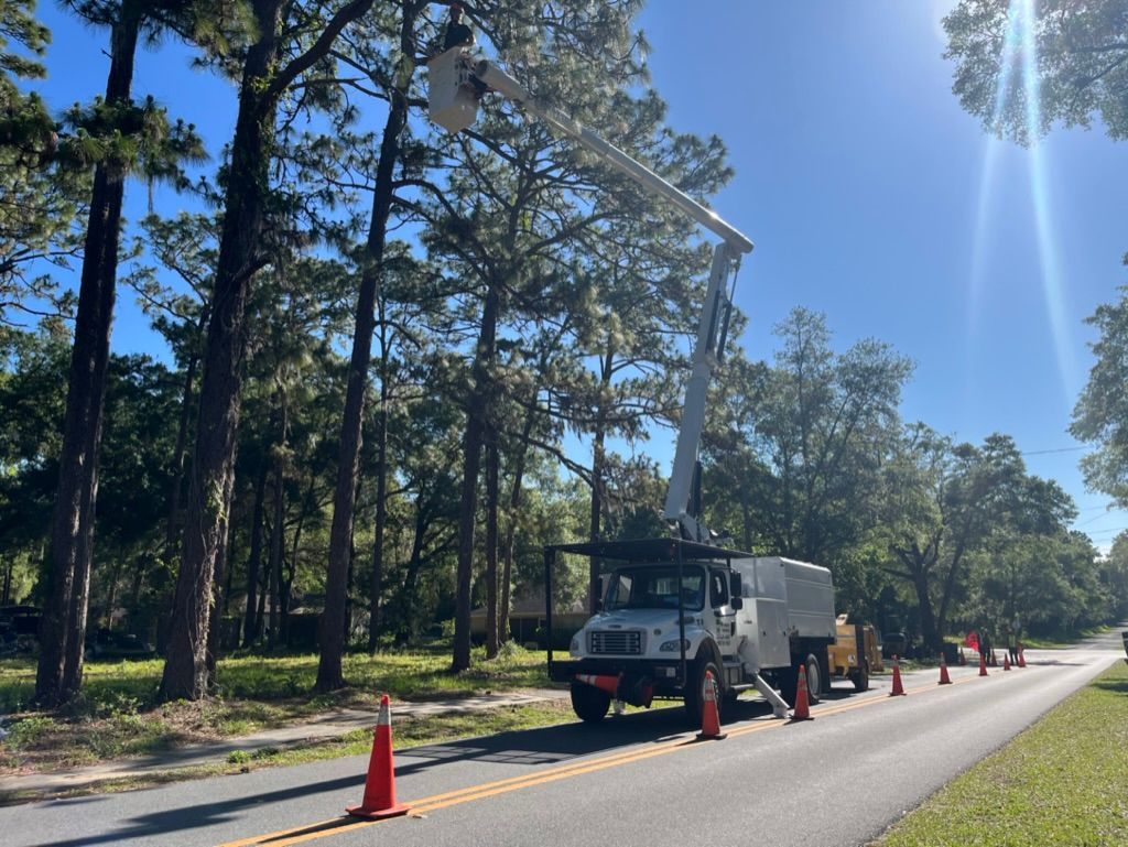 tree services 6