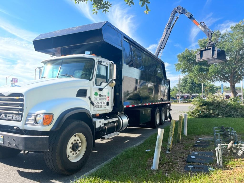 tree services 5