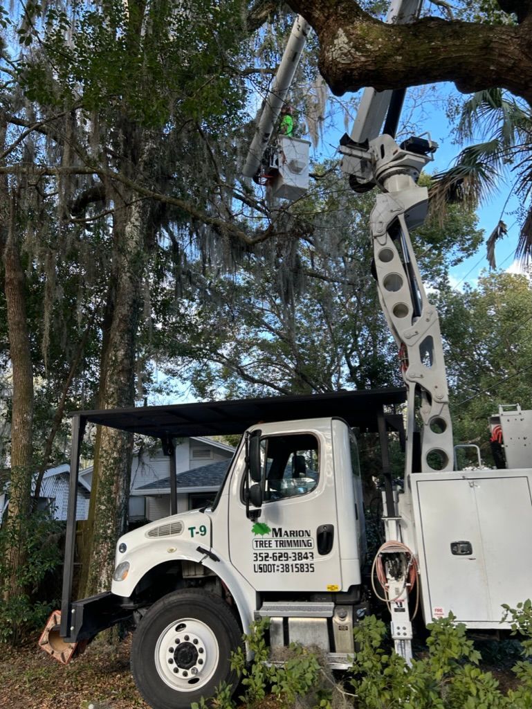 tree services 7